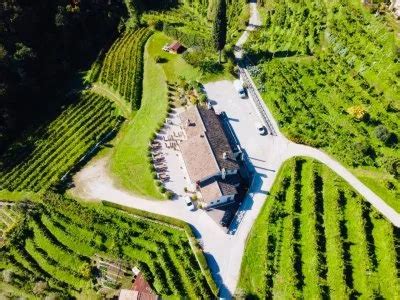 Tasting The Prosecco Treats Guided Wine Tour In Veneto Winetourism