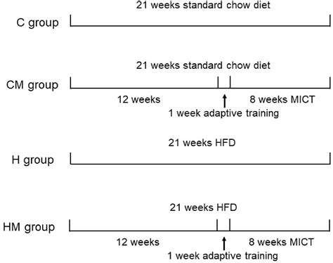 Transcriptome Analysis Provides Insights Into High Fat Diet Induced