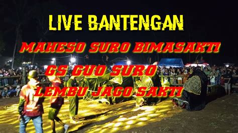 LIVE BANTENGAN MAHESO SUROGUO SURO LEMBU JAGO SAKTI LOKASI