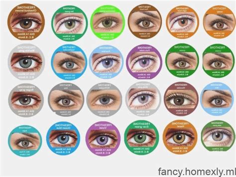 Lentilles De Contact Couleur 12 Mois 1 An Lentilles De Couleur