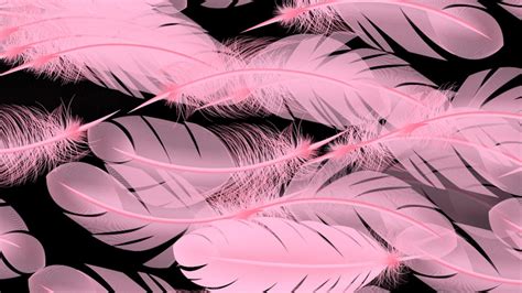 feathers pink pattern  image  pixabay