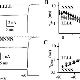 Comparison Of The Whole Cell Kinetics Of N And L Current N And