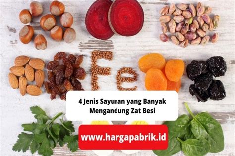 4 Jenis Sayuran Yang Banyak Mengandung Zat Besi