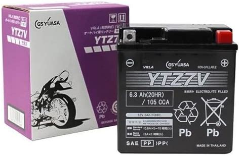 Amazon Gs Yuasa Ytz V