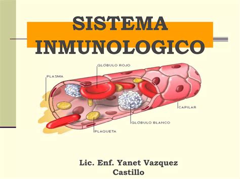 Sistema Inmune Conceptos B Sicos Ppt