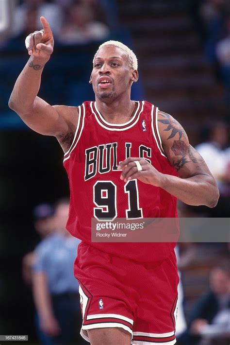 Fotografia De Not Cias Dennis Rodman Of The Chicago Bulls Points