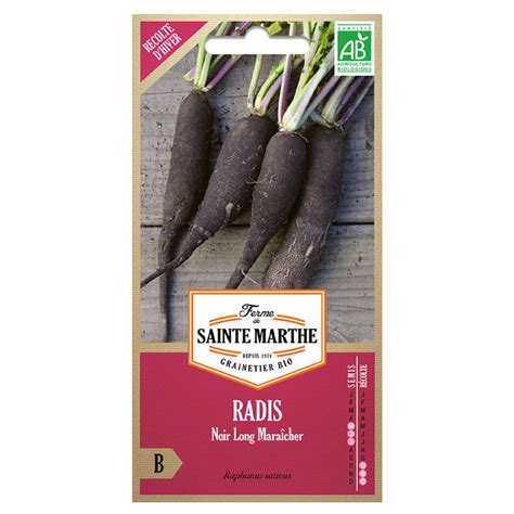 La Ferme Sainte Marthe Graines Ab Radis Noir Long Mara Cher