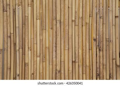 Bamboo Fences Backgrounds Textures Stock Photo Shutterstock