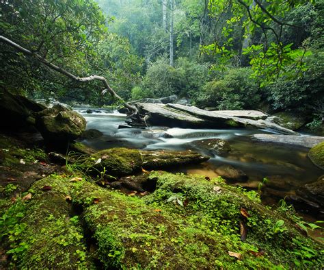 Down By The Riverbank - Nantahala Forest North Carolina - Matt Tilghman ...