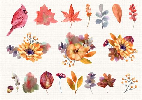 Premium Vector Autumn Floral Elements Watercolor Set