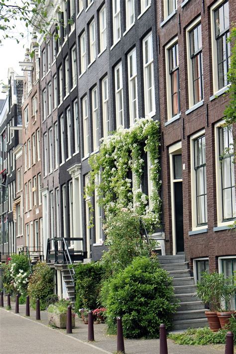 Pretty Canal Street In Amsterdam Amsterdam Hotel Amsterdam Red Light District Red Light District