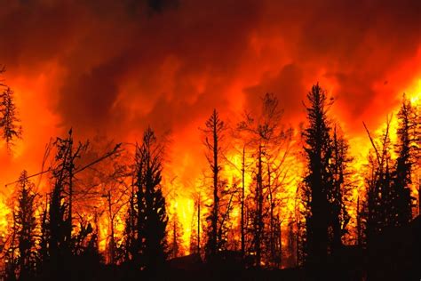 Incendios En Hawaii Dejan Más De 90 Muertos Hasta El Momento Cuba