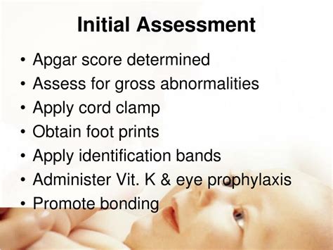 Ppt Newborn Transition Assessment Powerpoint Presentation Free