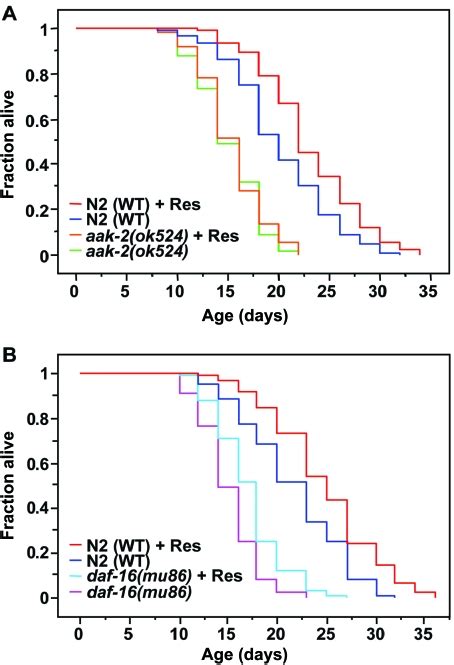 Different Dietary Restriction Regimens Extend Lifespan By Both Independent And Overlapping