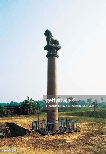 Pillars Of Ashoka Photos and Premium High Res Pictures - Getty Images