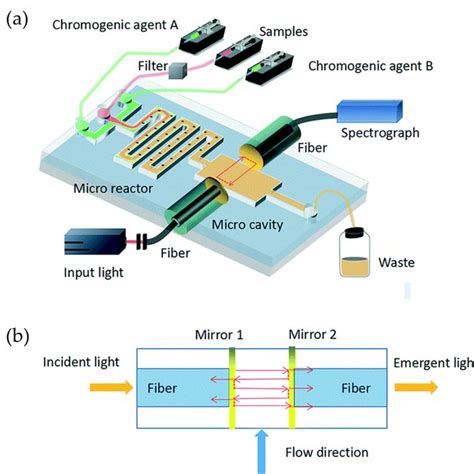 A Schematics Of The Detection System For SAMI CO2 B Schematics Of