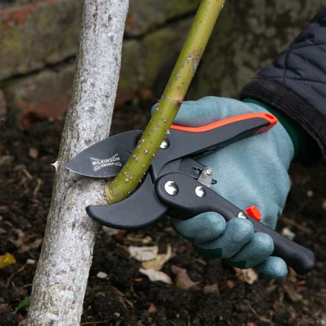 Wilkinson Sword Ratchet Anvil Pruner Pruning Trimming Squire S