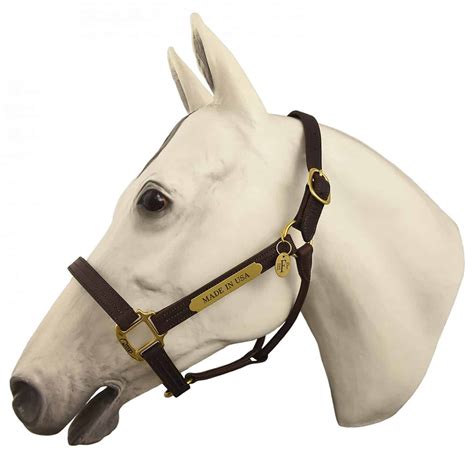 Top 10 Best Horse Halters In 2025 Reviews Go On Products