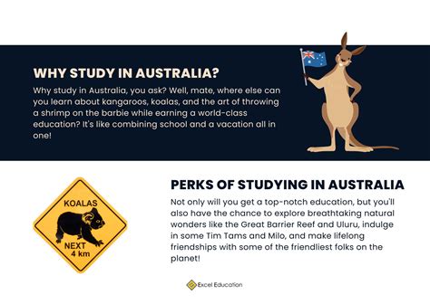 Top Things To Do And See In Australia Excel Education Study In