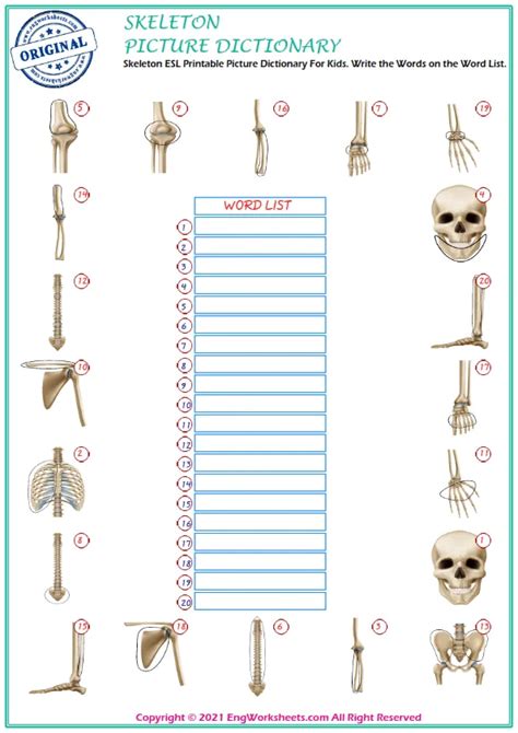 Skeleton Printable English Esl Vocabulary Worksheets Engworksheets