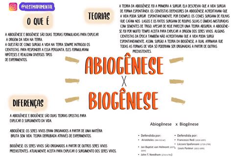 Teoria Da Abiogênese E Biogênese - 6