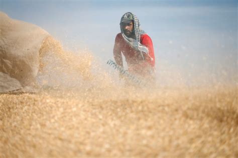 Gaza Flour Mills Ground Down By Russian Ukraine Conflict Reuters