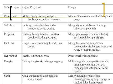 Detail Gambar Organ Tubuh Pada Hewan Dan Organ Penyusunnya Koleksi Nomer 16