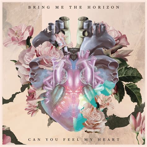 ‎can You Feel My Heart Single Album By Bring Me The Horizon Apple