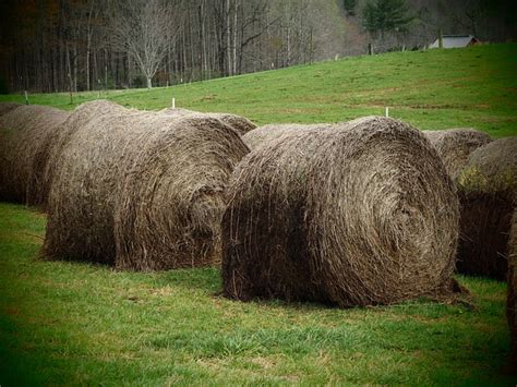 Hay Bales Field Free Photo On Pixabay Pixabay