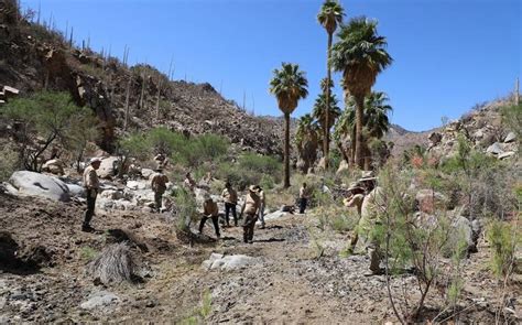 Sequ A Afecta Santuario Del Borrego Cimarr N En Bc Mimus Mx