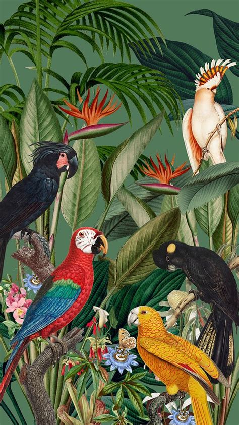 Exotic birds jungle iPhone wallpaper. | Premium Photo Illustration ...