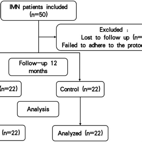 Diagram Of The Patients’ Enrollment Imn Idiopathic Membranous Nephropathy Download Scientific