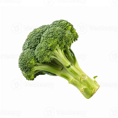 Fresh Green Broccoli Head with Nutritional Benefits for Healthy Cooking