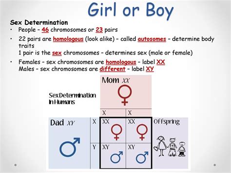 Human Inheritance Essential Questions Ppt Download