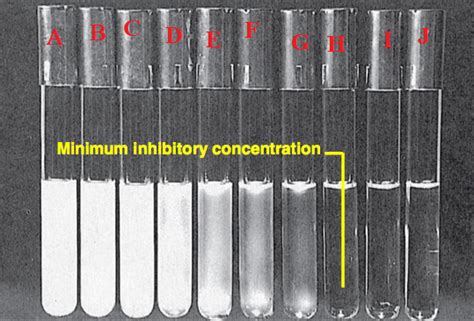 Mbc Archives Microbiology Resource Hub