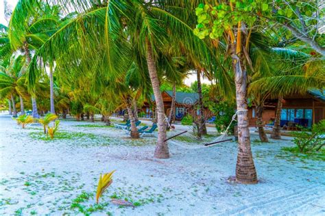 Tropical Bungalow On The Amazing Beach With A Palm Tree Stock Photo