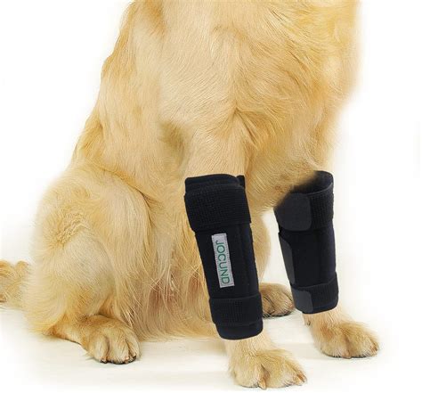 Amazon.com : Bawektrl Dog Leg Brace for Front Hock Joint,Carpal Brace