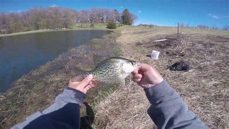 Spring Crappie Fishing In Minnesota Youtube