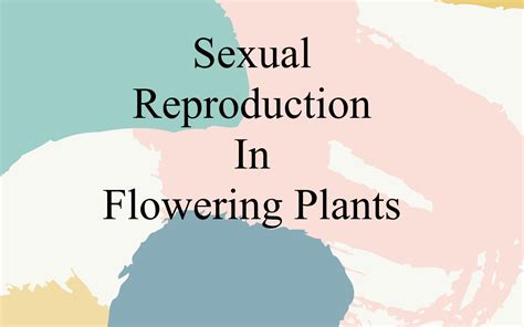 SOLUTION Sexual Reproduction In Flowering Plants Pyq 1 Studypool