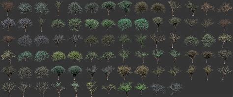 80 More Isometric Trees