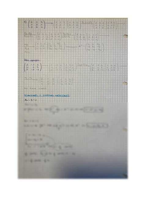 SOLUTION Matrices Y Determinantes Matrices And Determinants Studypool