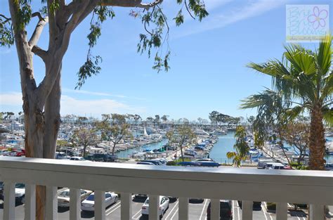 Dana Point Festival of Whales 2014 - Brie Brie Blooms