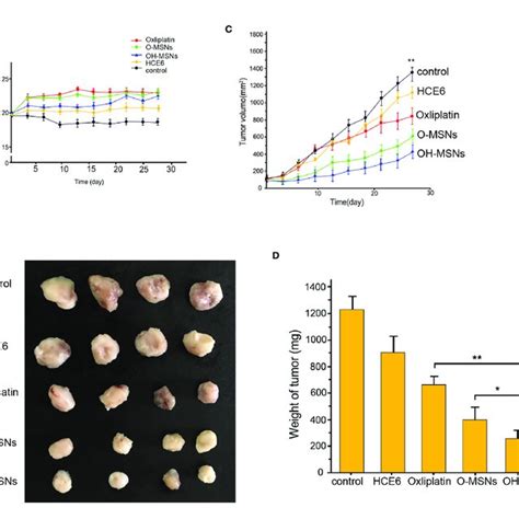 Tumor Growth In Mice A D The Nude Mice N Were Injected With