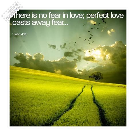 Fear Of Love Quotes Quotesgram