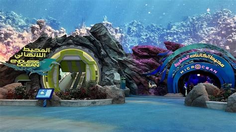 Seaworld Abu Dhabi Review The Best Aquarium In The World Uae Times