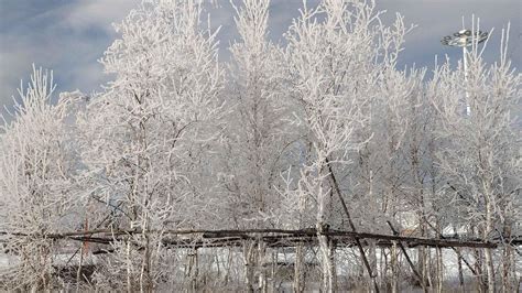 Hulunbuir's winter landscape - CGTN