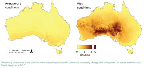 How many feral cats in Australia - PestSmart