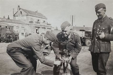 PHOTO Le Haut Val D Oise Sous L Occupation