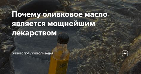 Почему оливковое масло является мощнейшим лекарством | Живи с Пользой ...