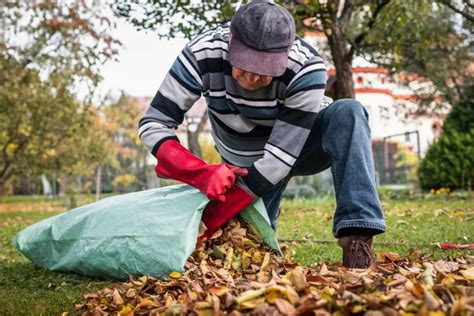 Comment Recycler Les Feuilles Mortes Du Jardin